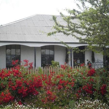 Ivy On Glenelg Bed & Breakfast Campbell Town Exterior photo